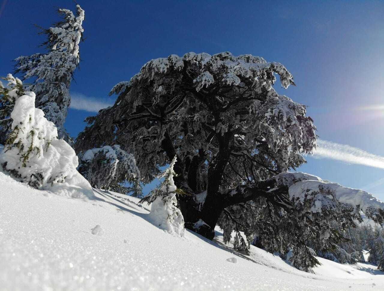 لوحات طبيعية على امتداد لبنان